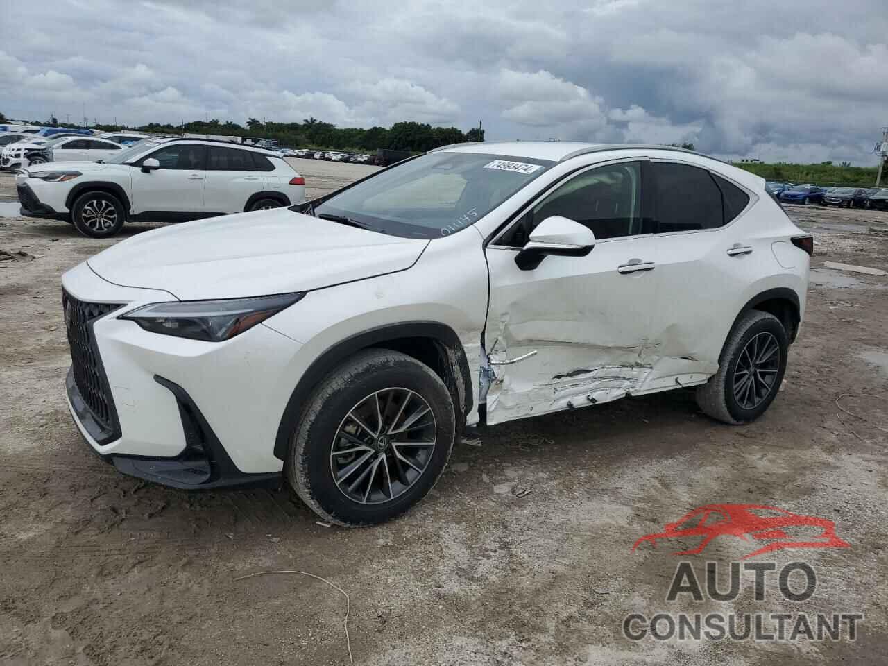 LEXUS NX 250 BAS 2024 - JTJADCAZ5R2011145