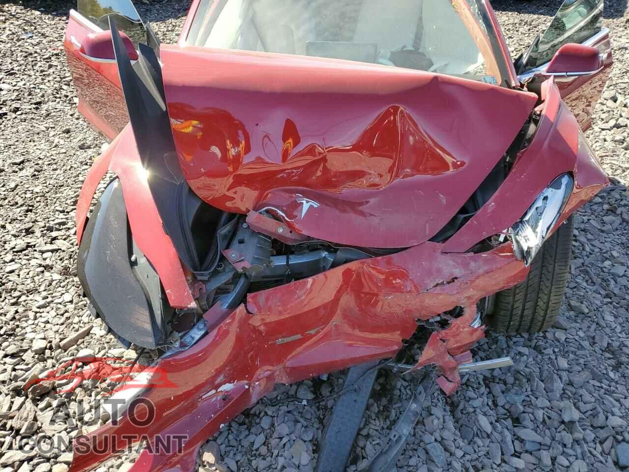 TESLA MODEL 3 2019 - 5YJ3E1EB8KF454936