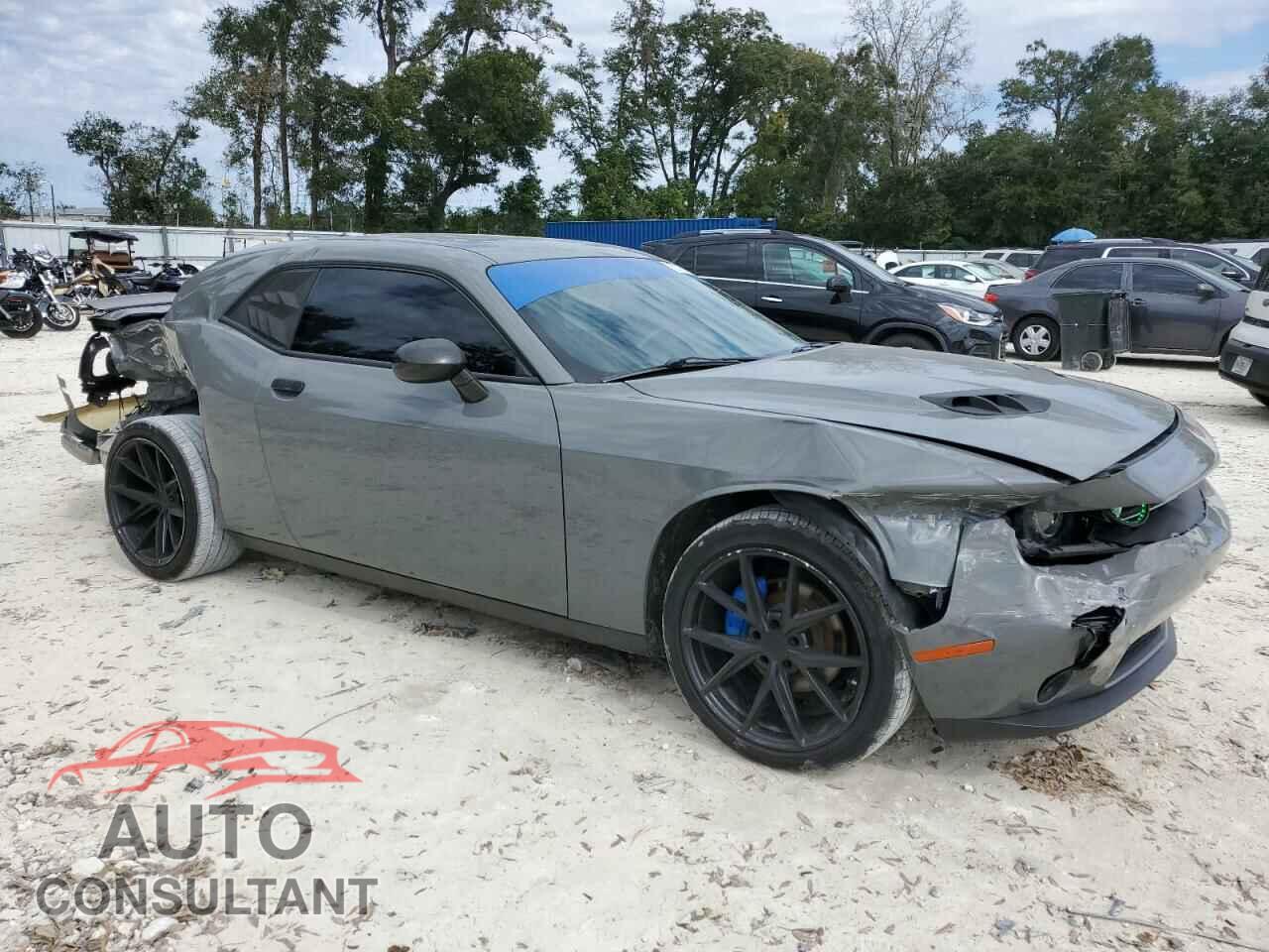 DODGE CHALLENGER 2019 - 2C3CDZAG3KH618336