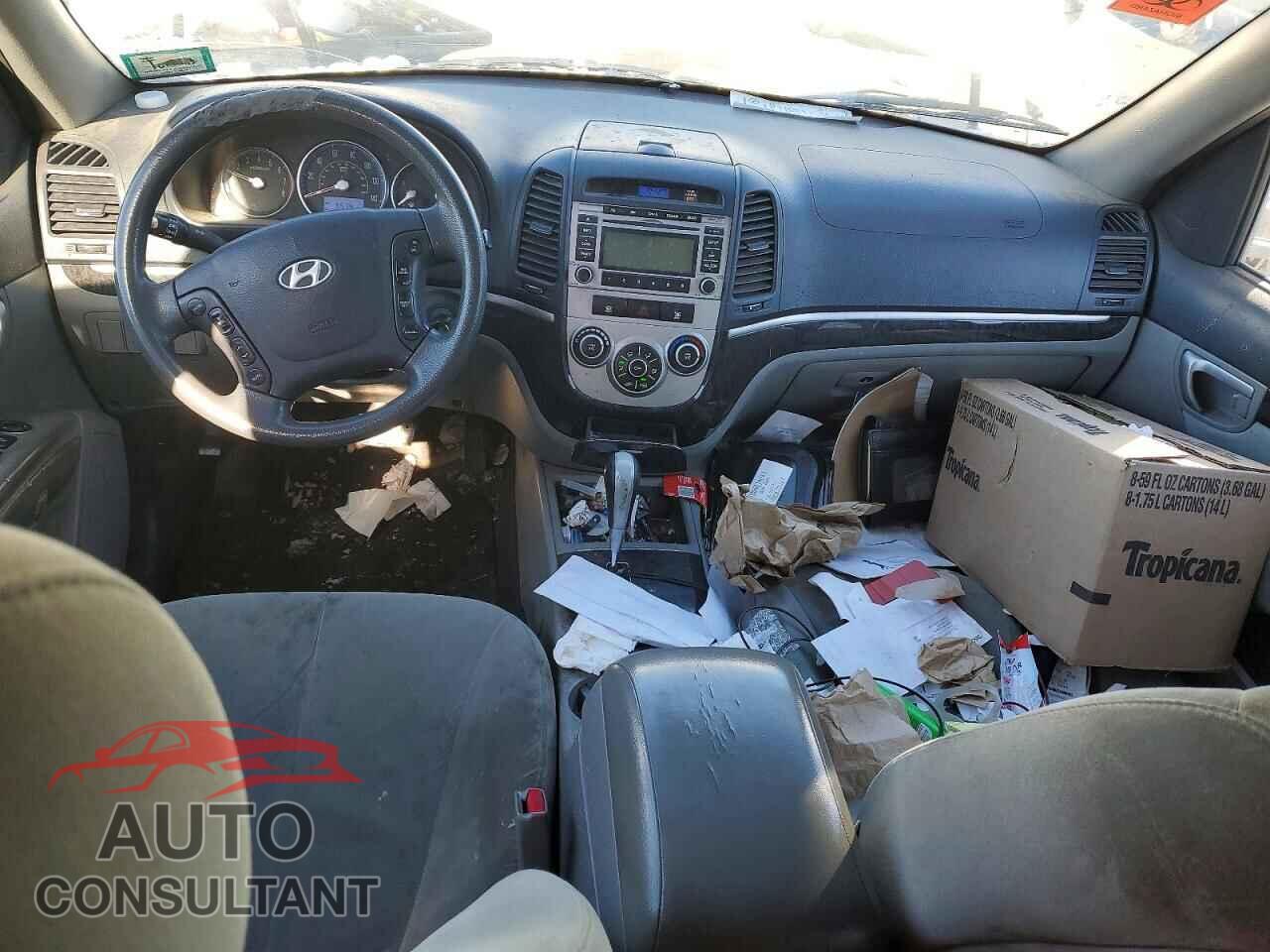 HYUNDAI SANTA FE 2009 - 5NMSG73D59H304028