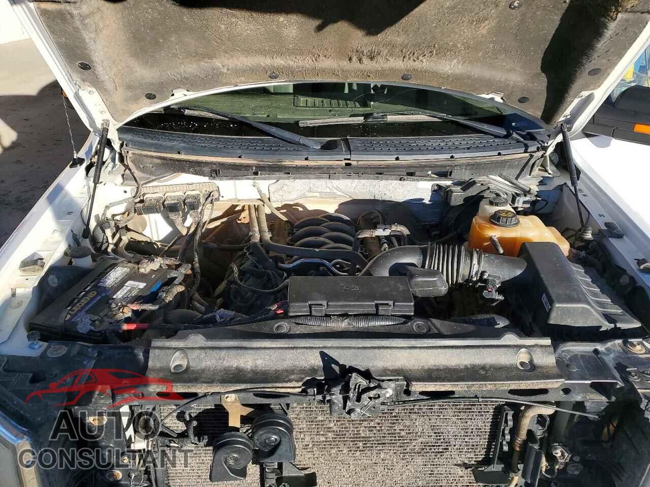FORD F150 2013 - 1FTFW1EF4DFD50004