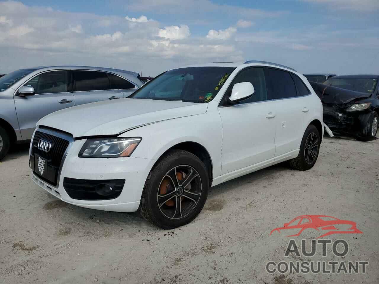 AUDI Q5 2010 - WA1LKAFP0AA011961