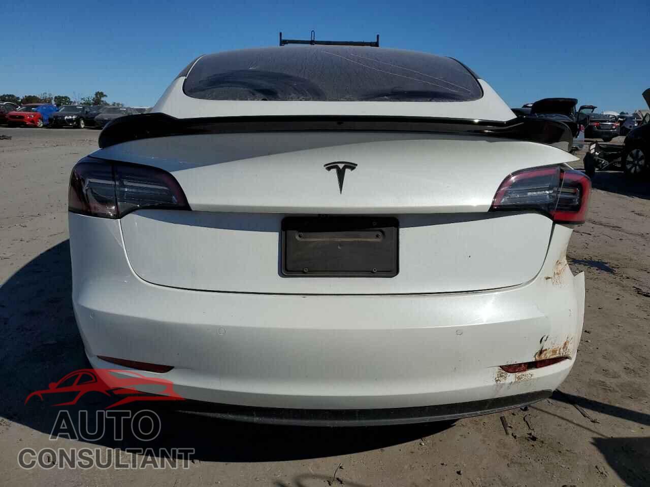 TESLA MODEL 3 2021 - 5YJ3E1EA1MF920524