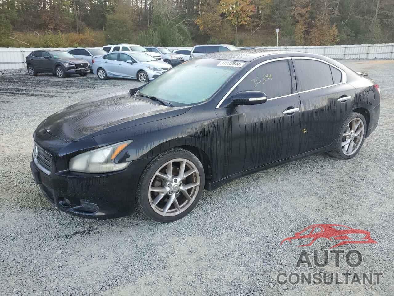 NISSAN MAXIMA 2011 - 1N4AA5AP1BC804082