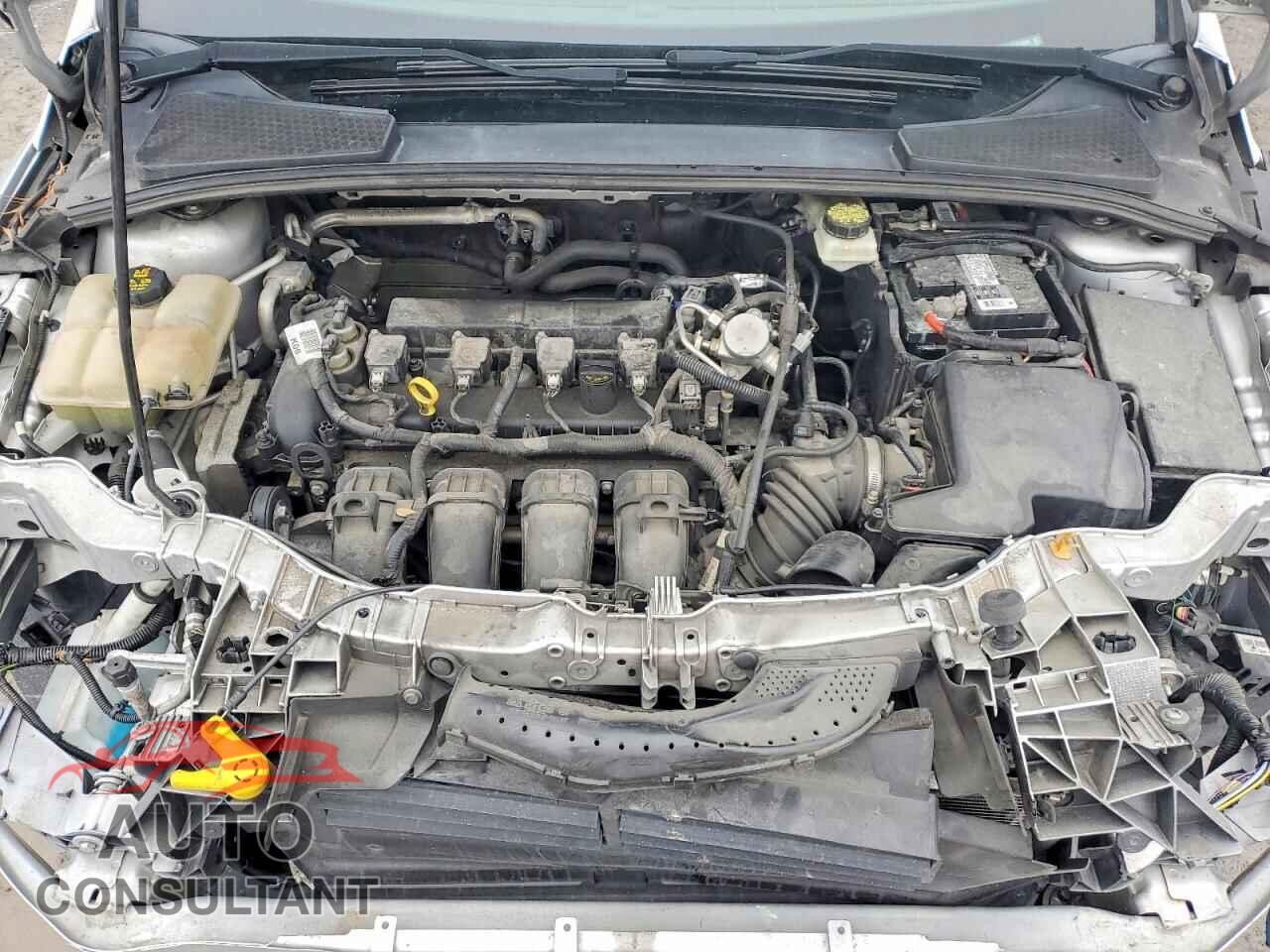 FORD FOCUS 2017 - 1FADP3F21HL271804
