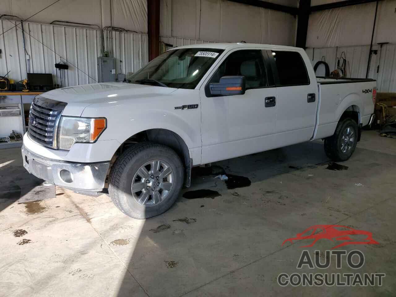 FORD F-150 2010 - 1FTFW1EV4AFC52089