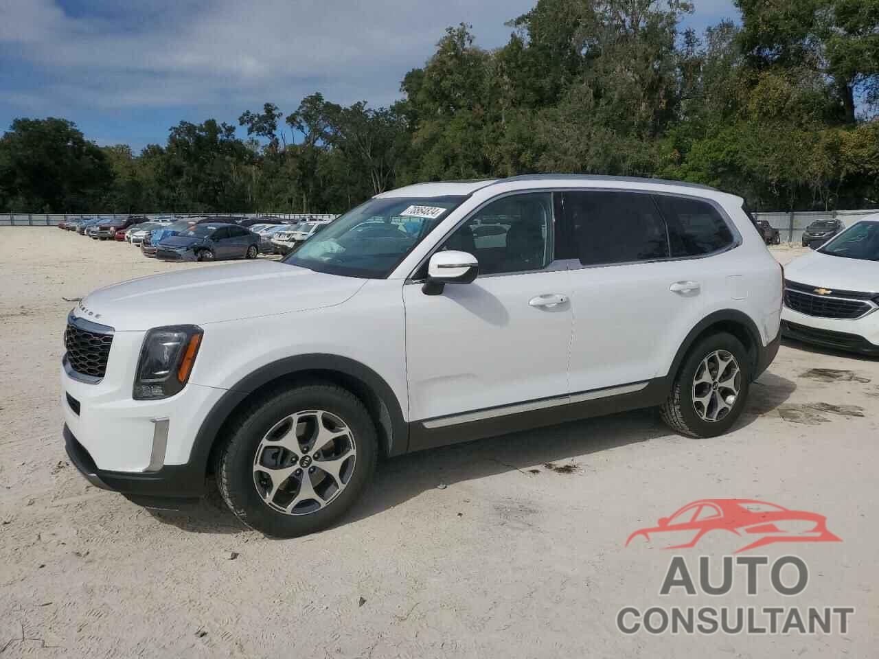 KIA TELLURIDE 2021 - 5XYP3DHC3MG177685