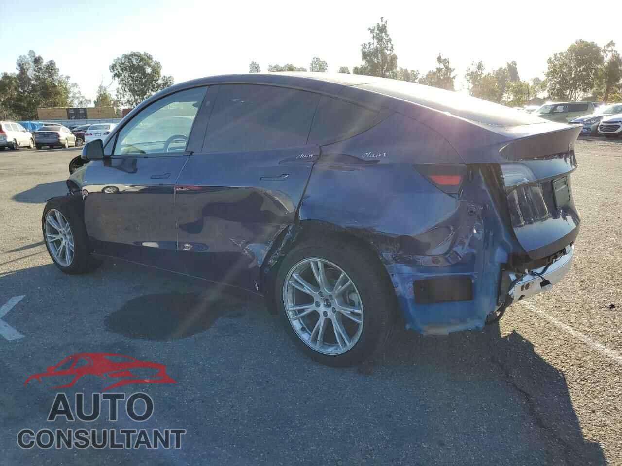 TESLA MODEL Y 2024 - 7SAYGDEE4RF060486