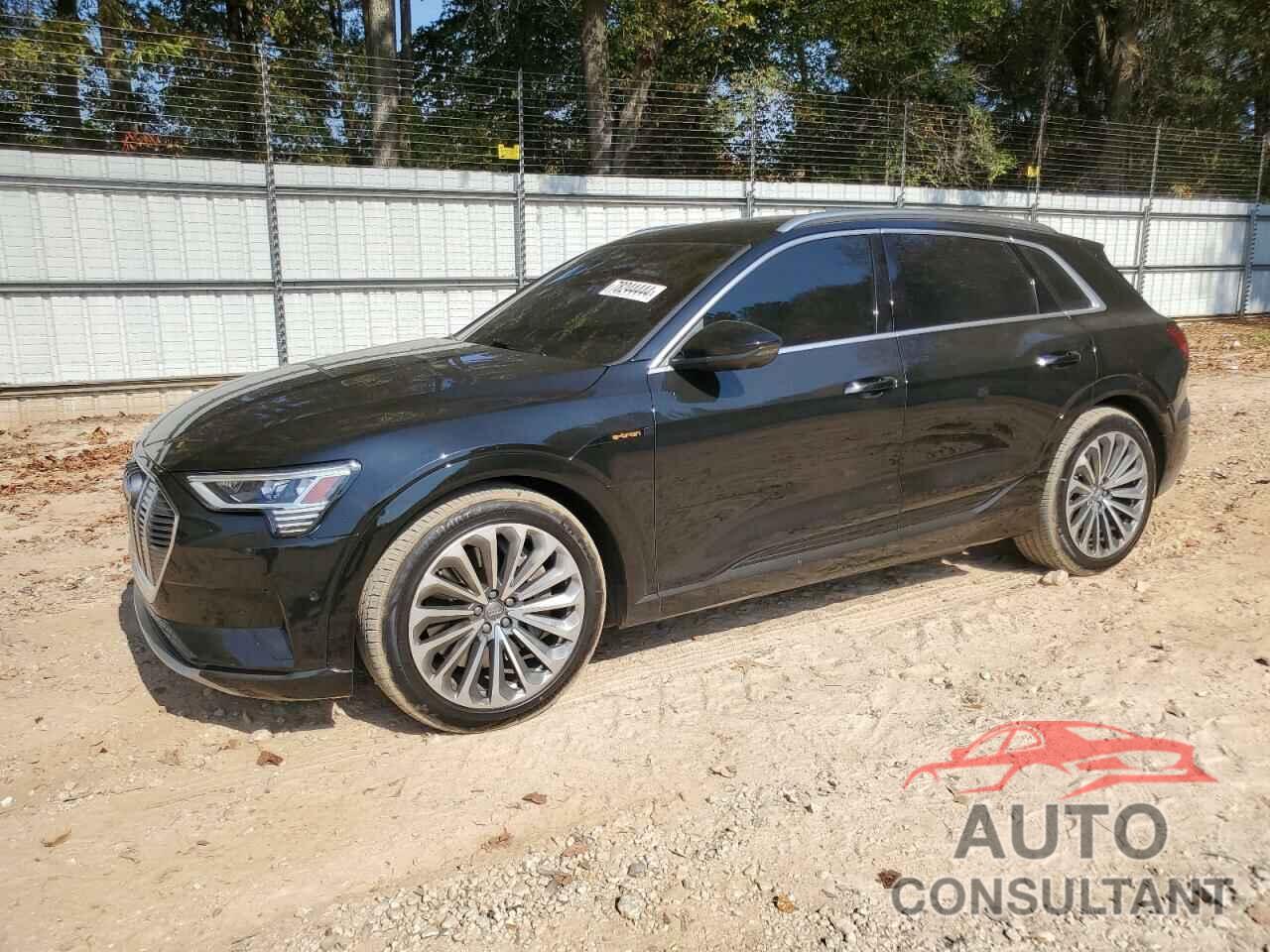 AUDI E-TRON 2019 - WA1VAAGE1KB009575