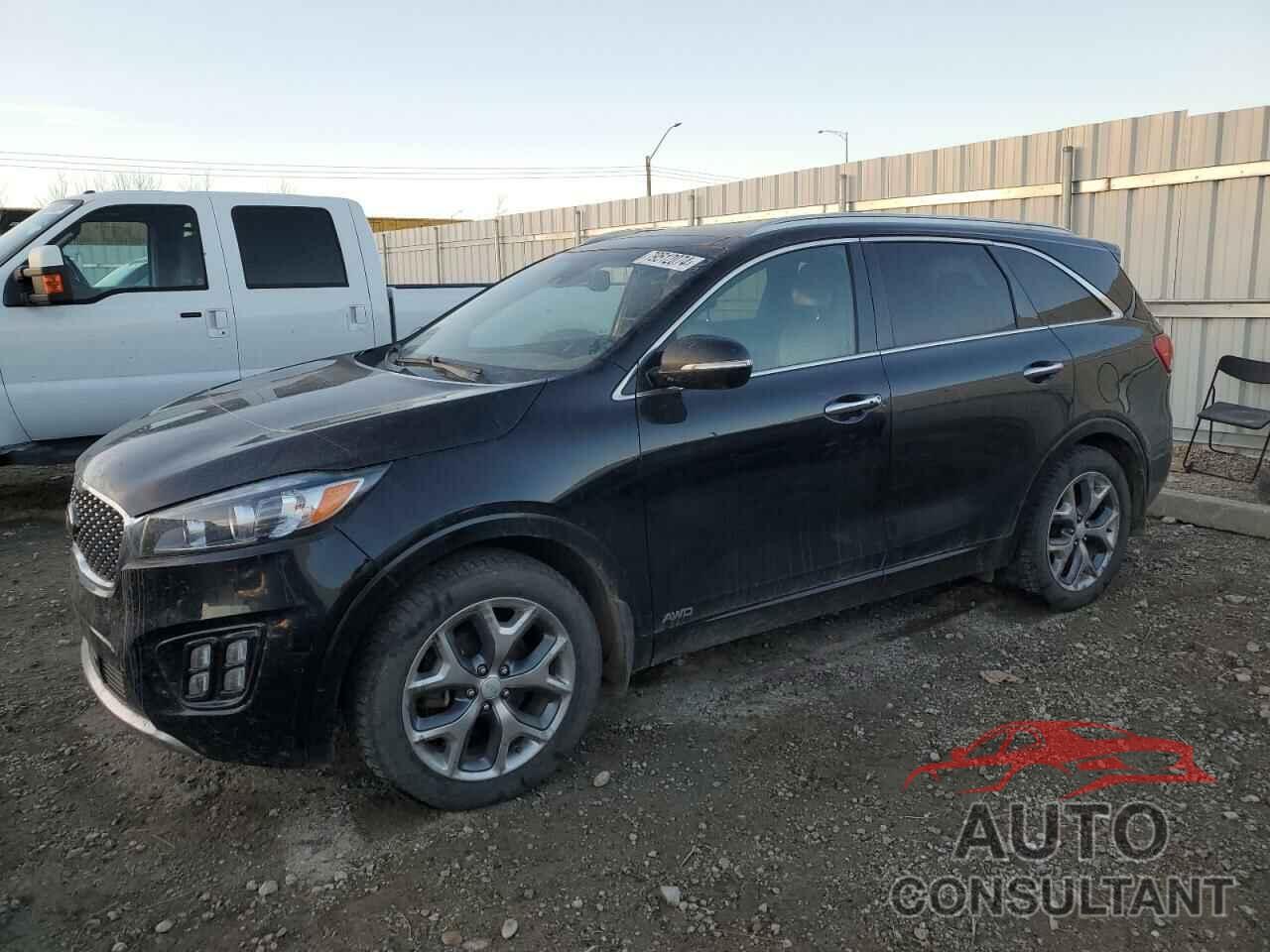 KIA SORENTO 2017 - 5XYPKDA50HG234168