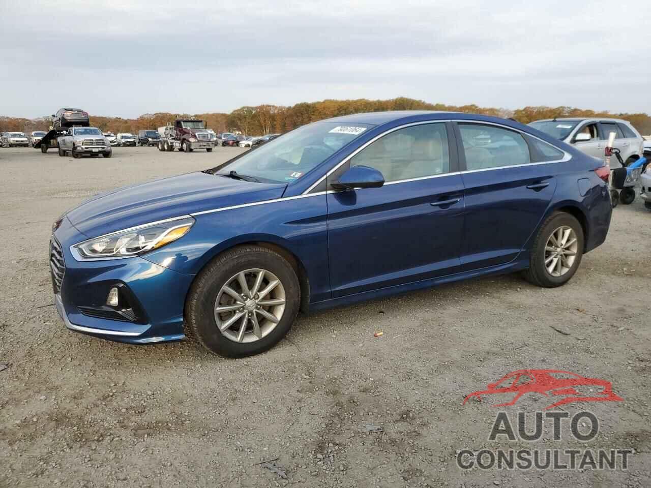 HYUNDAI SONATA 2019 - 5NPE24AF1KH787444