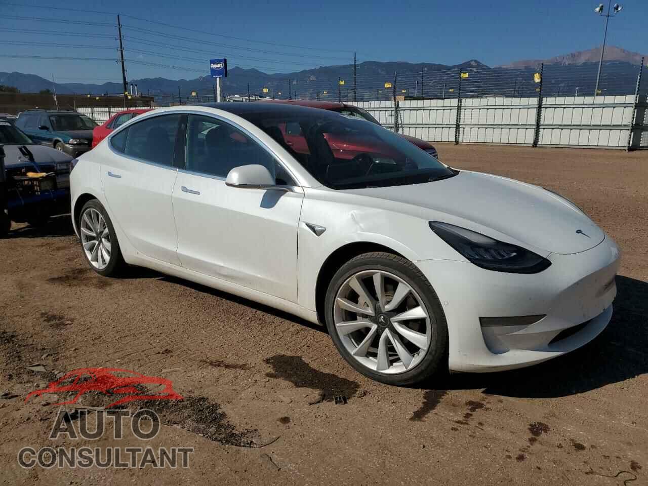 TESLA MODEL 3 2019 - 5YJ3E1EB2KF437498