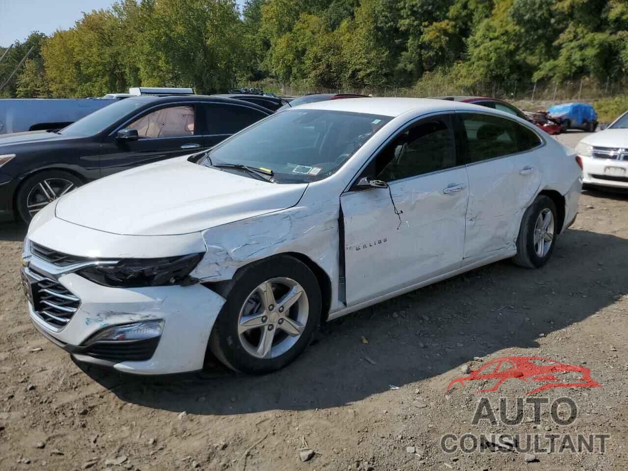 CHEVROLET MALIBU 2022 - 1G1ZC5STXNF183830