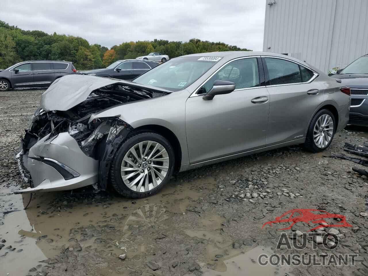 LEXUS ES300 2020 - 58AE21B13LU004718