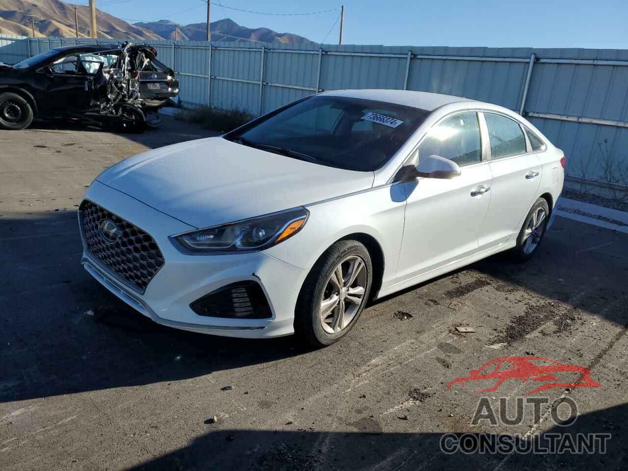 HYUNDAI SONATA 2019 - 5NPE34AF3KH759609