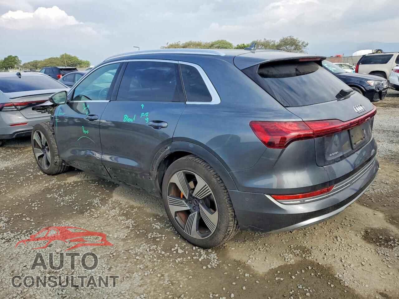 AUDI E-TRON 2019 - WA1VAAGE3KB008427