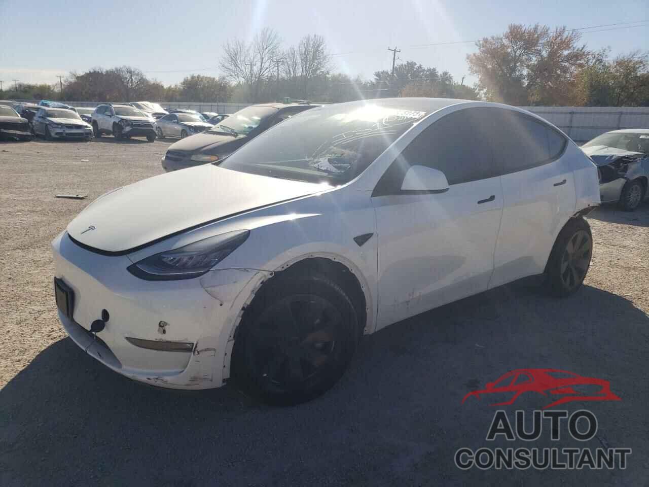 TESLA MODEL Y 2022 - 7SAYGAEE4NF378469