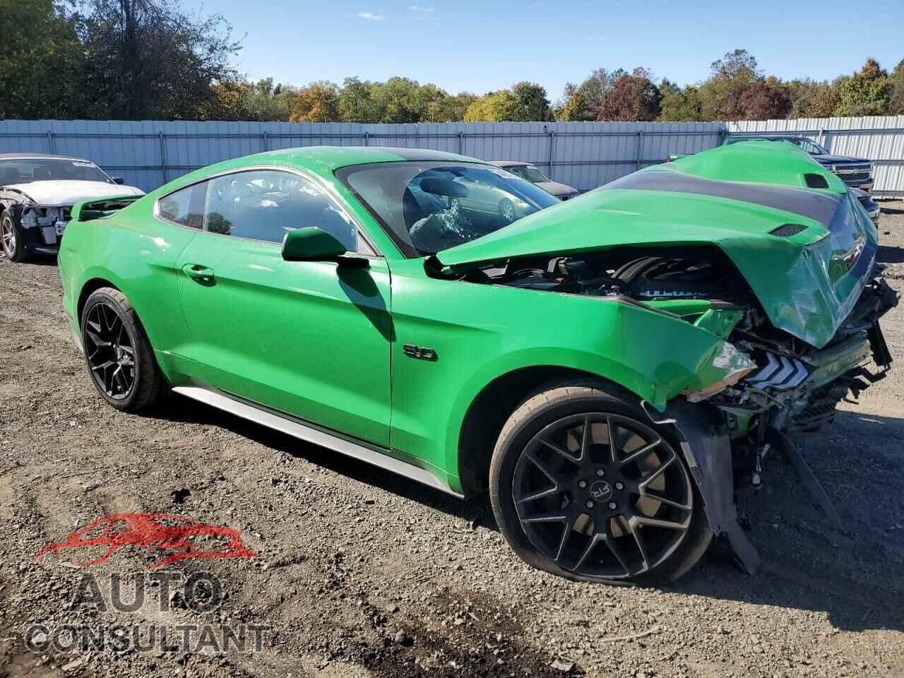 FORD MUSTANG 2019 - 1FA6P8CF1K5101581