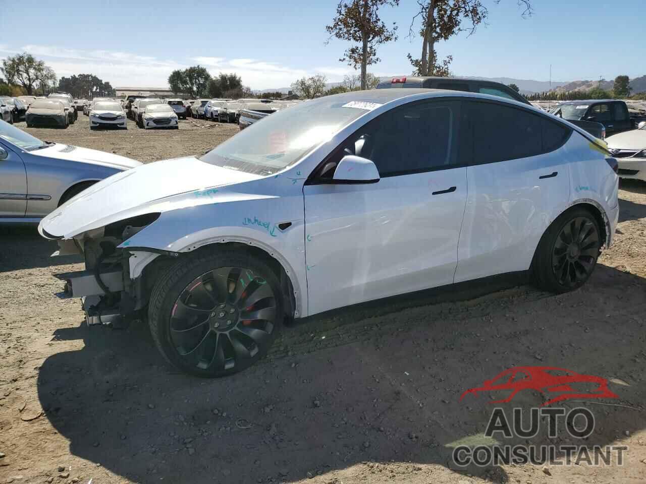 TESLA MODEL Y 2023 - 7SAYGDEF2PF943315