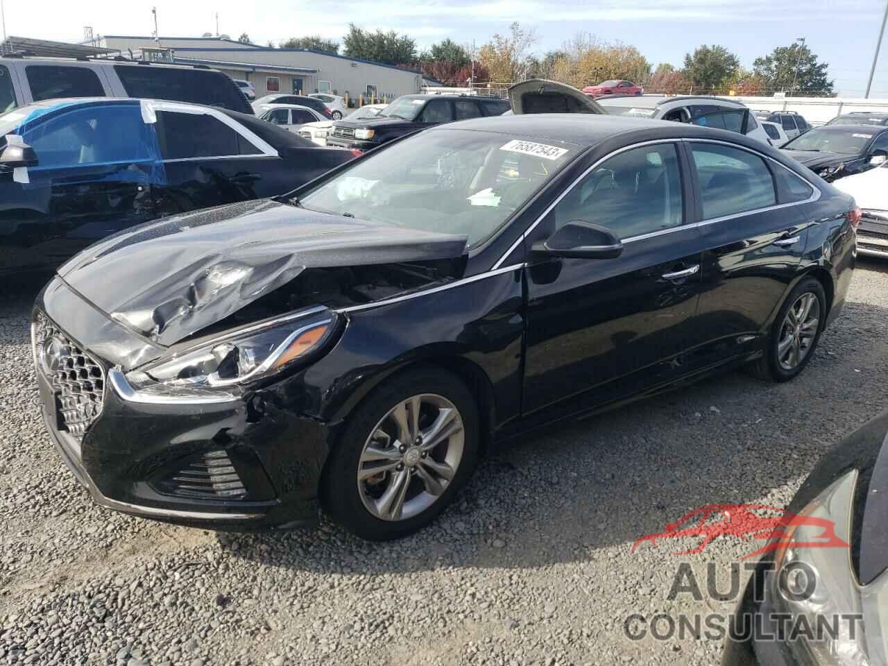 HYUNDAI SONATA 2019 - 5NPE34AF5KH764052