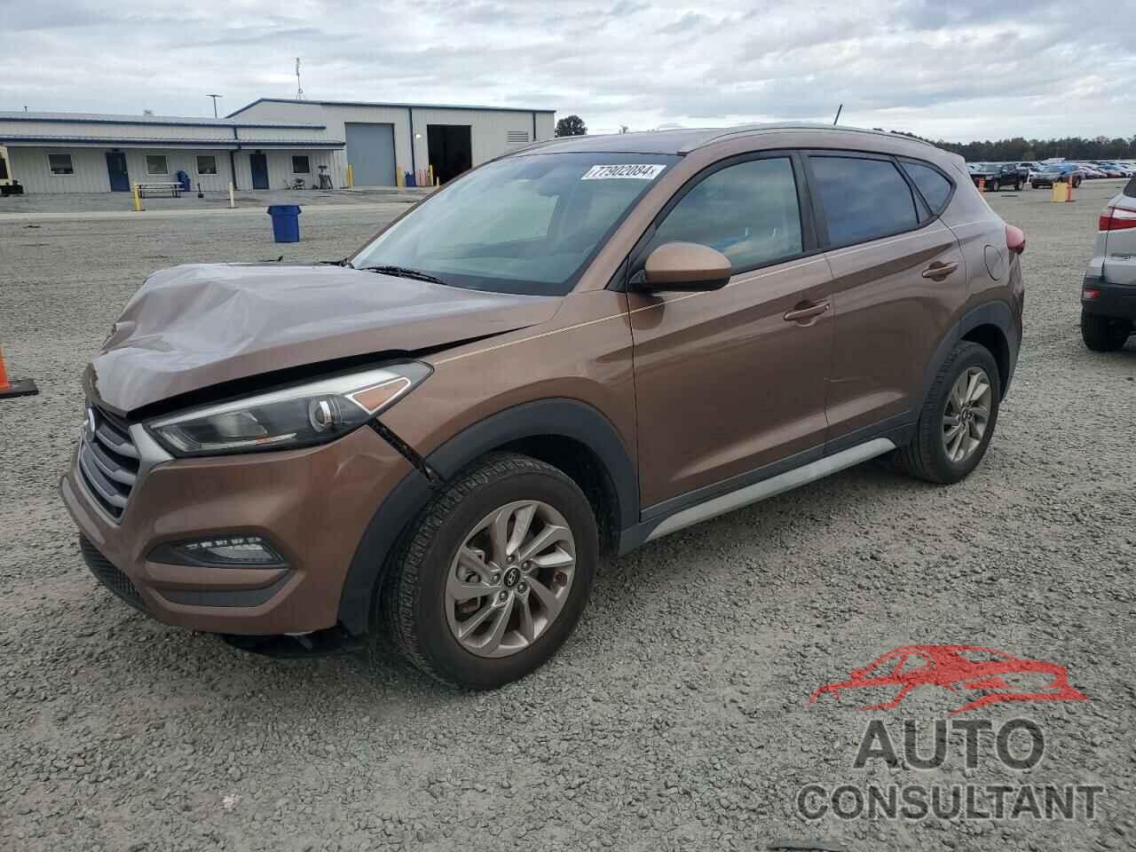 HYUNDAI TUCSON 2017 - KM8J33A43HU506209