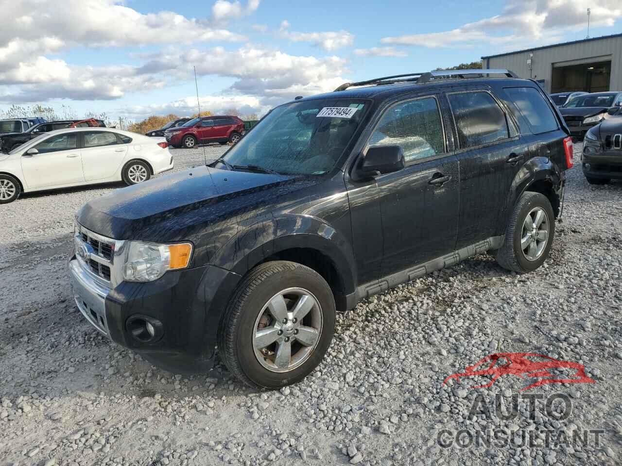 FORD ESCAPE 2011 - 1FMCU0EG5BKB90324