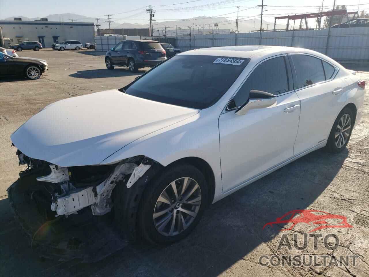 LEXUS ES300 2021 - 58ACA1C18MU005048