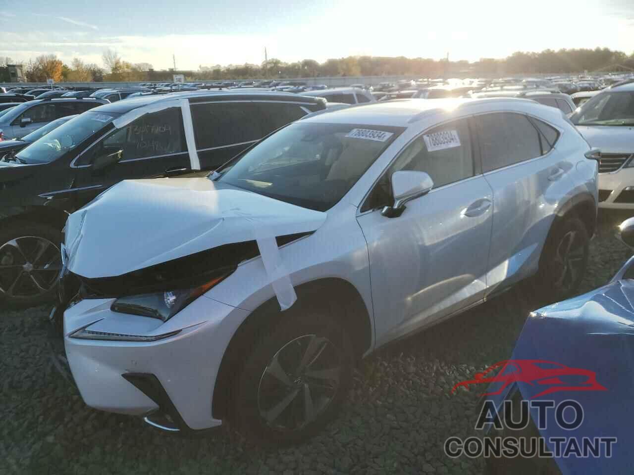 LEXUS NX 2019 - JTJBARBZ5K2216470