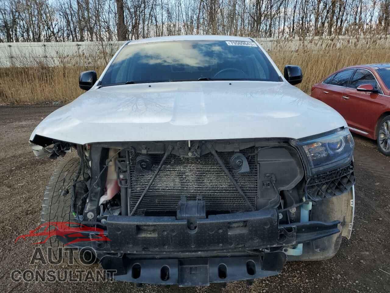 DODGE DURANGO 2015 - 1C4RDJAGXFC105973