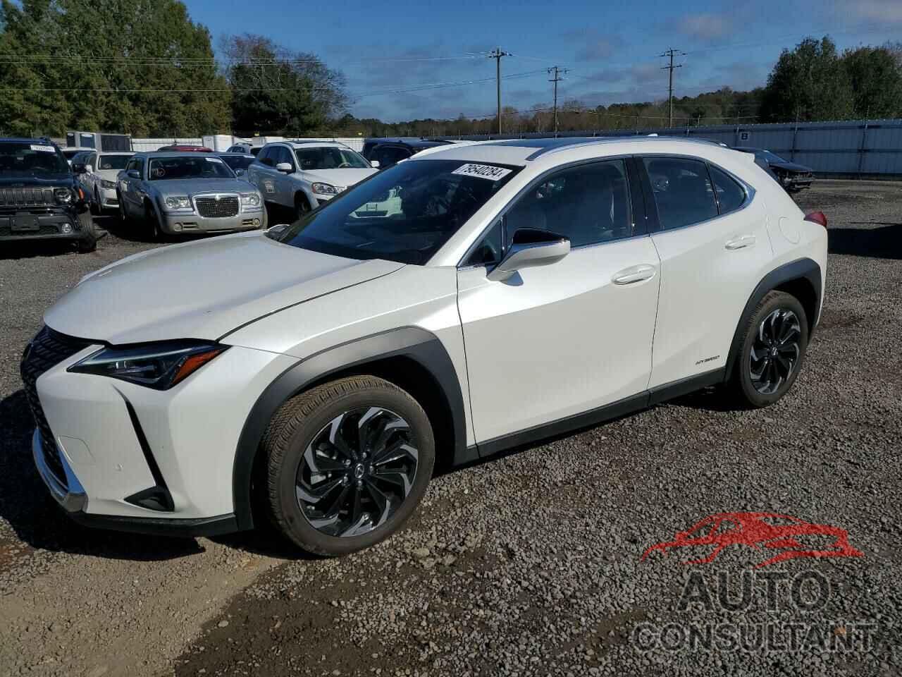 LEXUS UX 250H 2021 - JTHP9JBH8M2044401