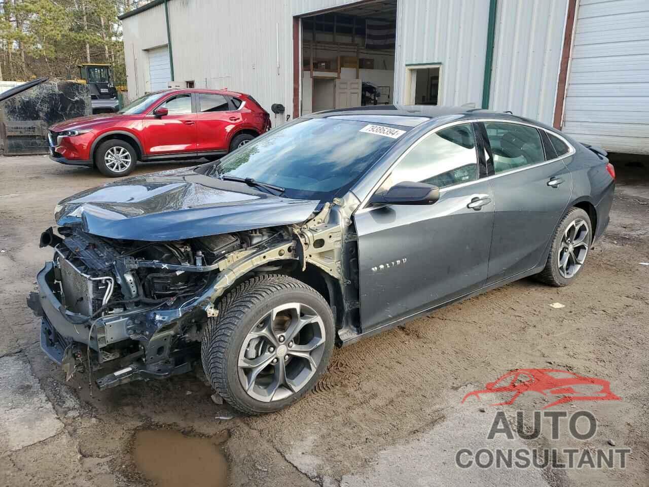 CHEVROLET MALIBU 2019 - 1G1ZG5ST8KF162572