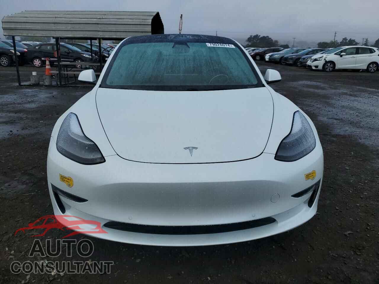 TESLA MODEL 3 2021 - 5YJ3E1EA9MF930461