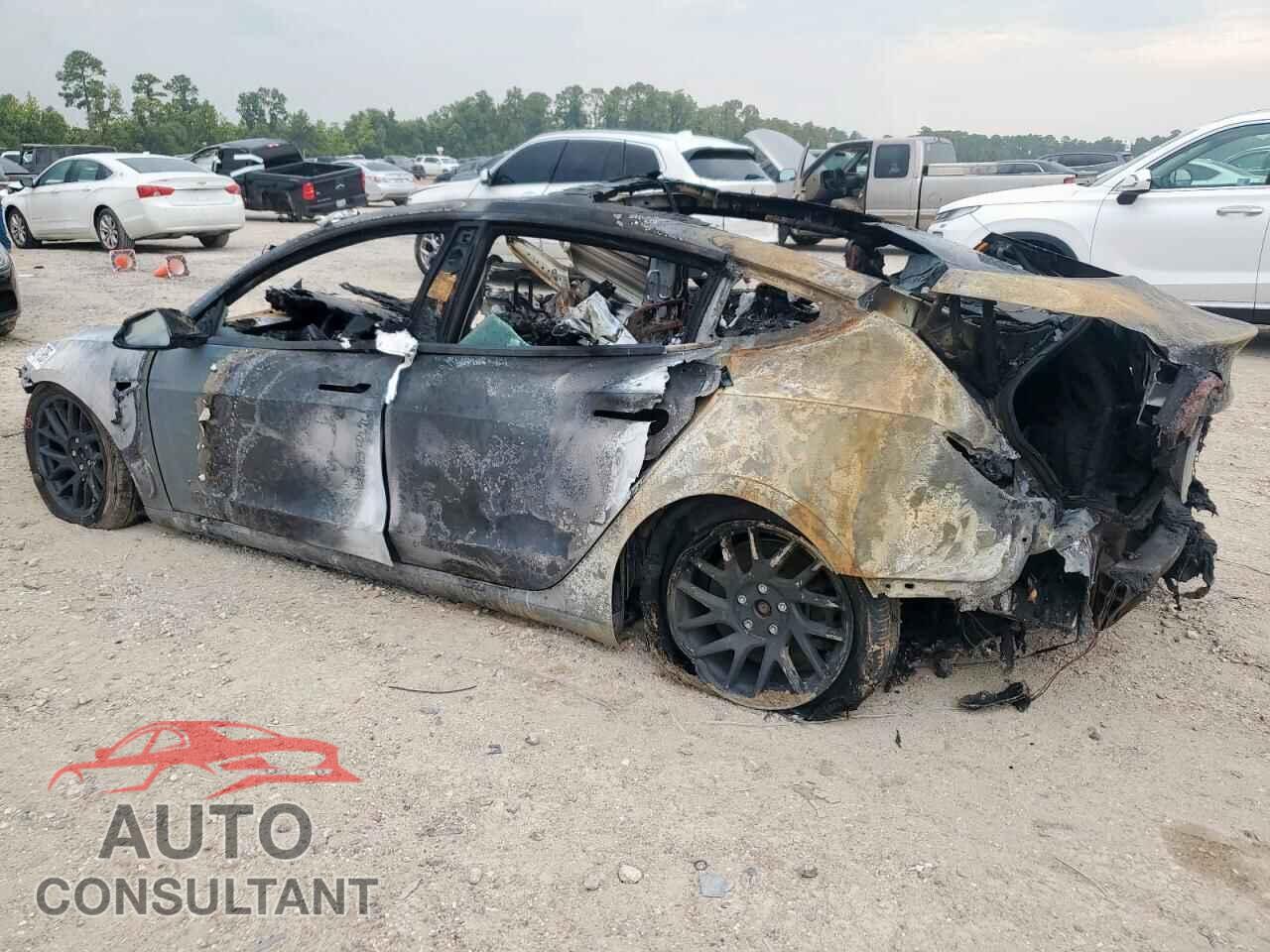 TESLA MODEL 3 2025 - 5YJ3E1EA7SF901859