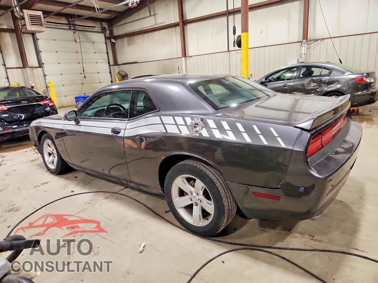 DODGE CHALLENGER 2013 - 2C3CDYAG3DH569586
