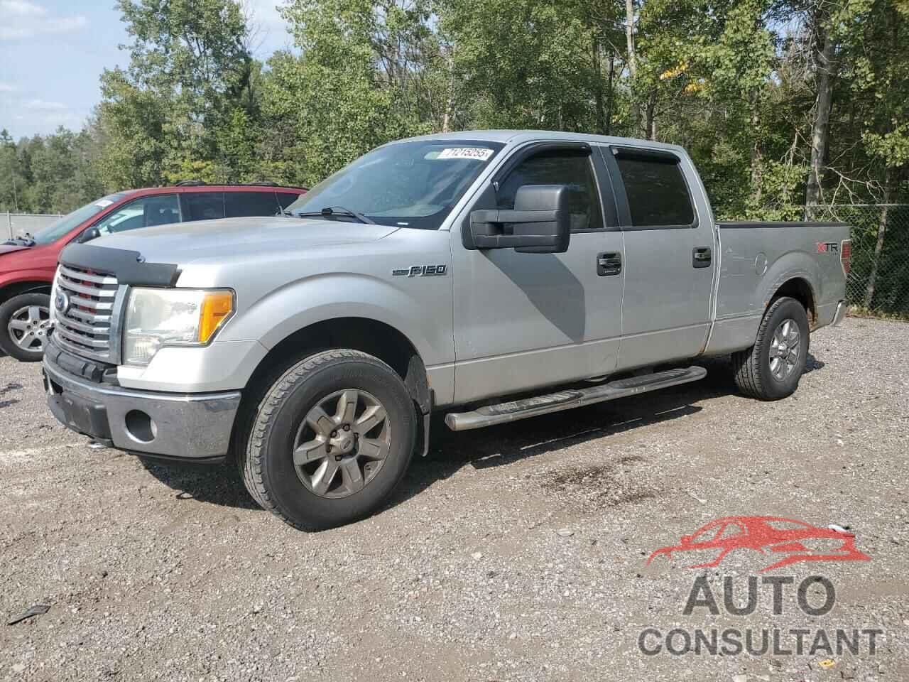 FORD F-150 2010 - 1FTFW1EV3AFC79803