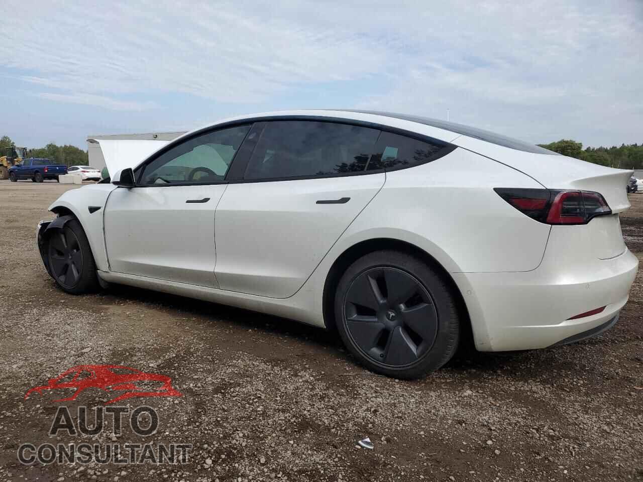 TESLA MODEL 3 2021 - 5YJ3E1EA2MF962605