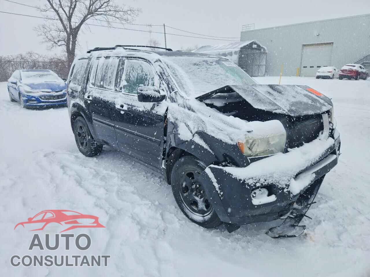 HONDA PILOT 2010 - 5FNYF4H50AB504026