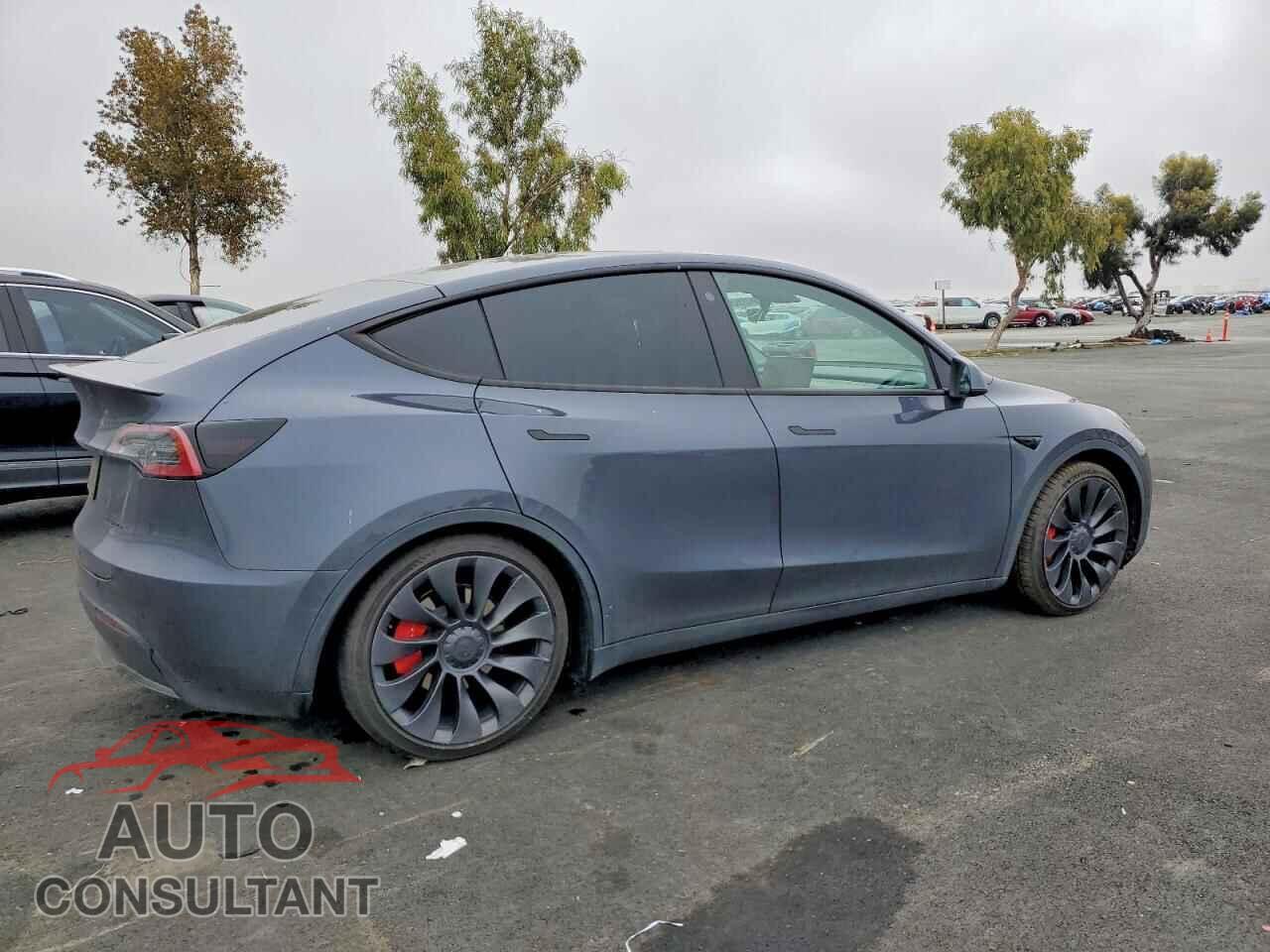 TESLA MODEL Y 2023 - 7SAYGDEF0PF759622