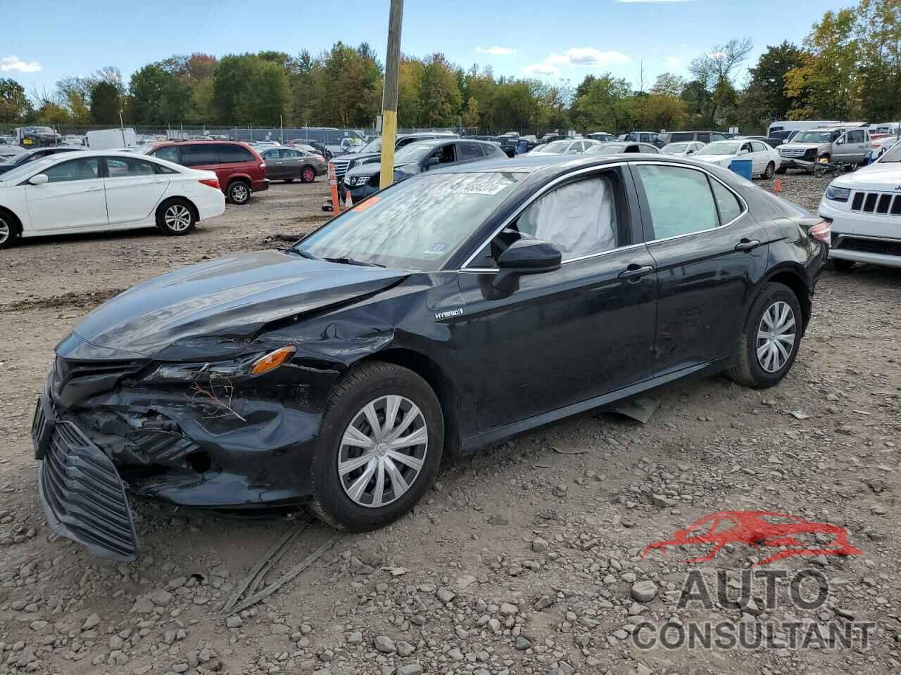 TOYOTA CAMRY 2019 - 4T1B31HK5KU516356