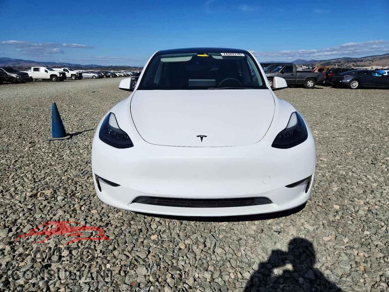 TESLA MODEL Y 2022 - 7SAYGDEF2NF393823