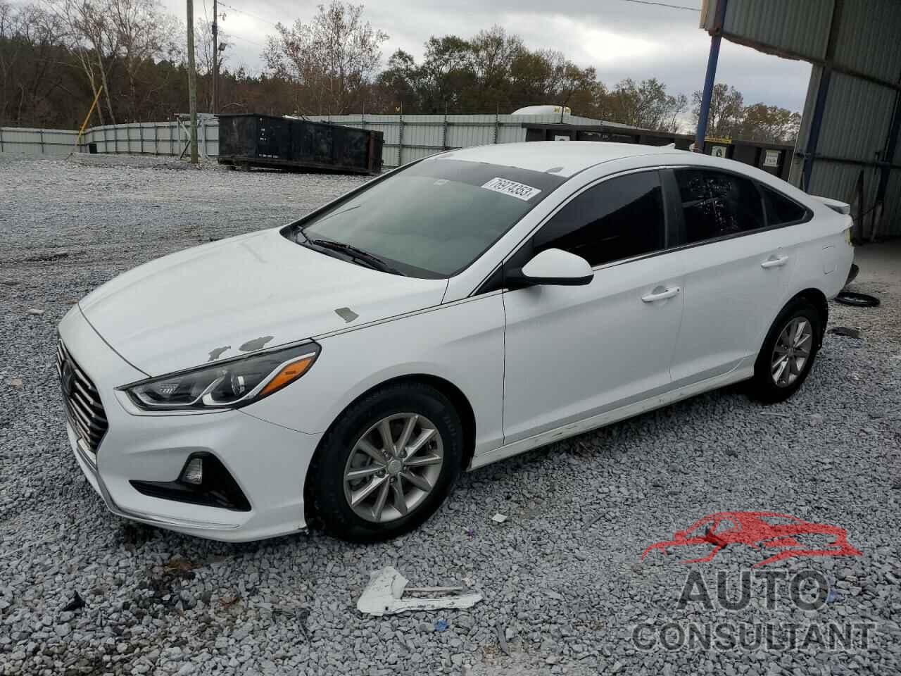 HYUNDAI SONATA 2019 - 5NPE24AF7KH745974