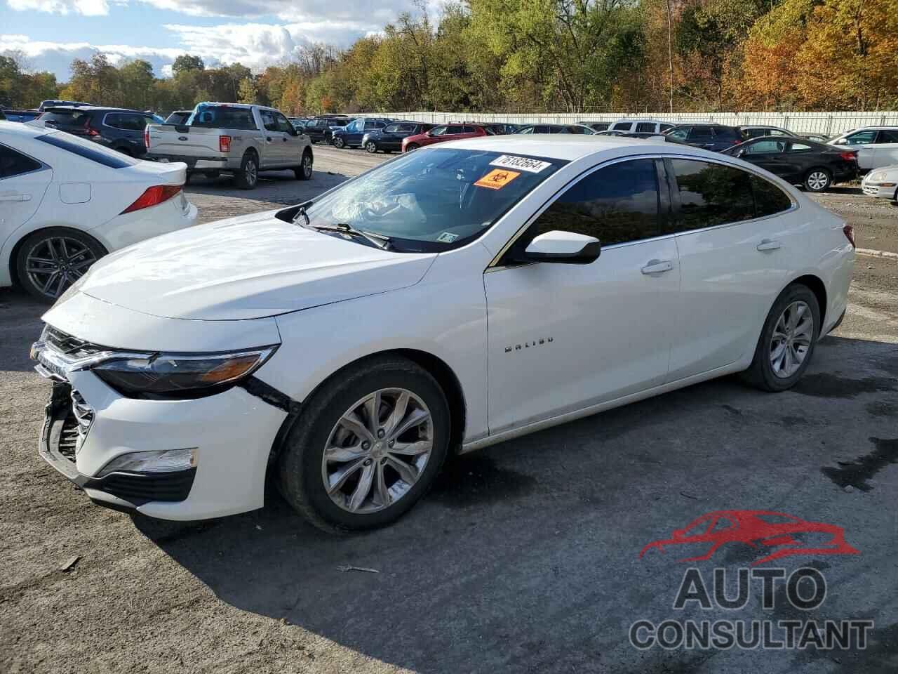 CHEVROLET MALIBU 2020 - 1G1ZD5ST7LF089348