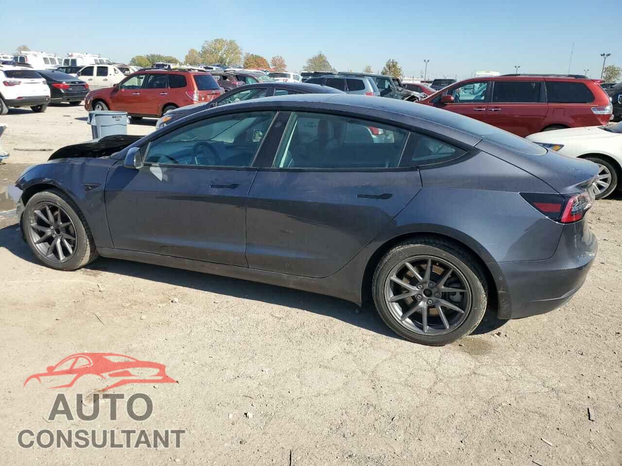 TESLA MODEL 3 2021 - 5YJ3E1EA9MF058301
