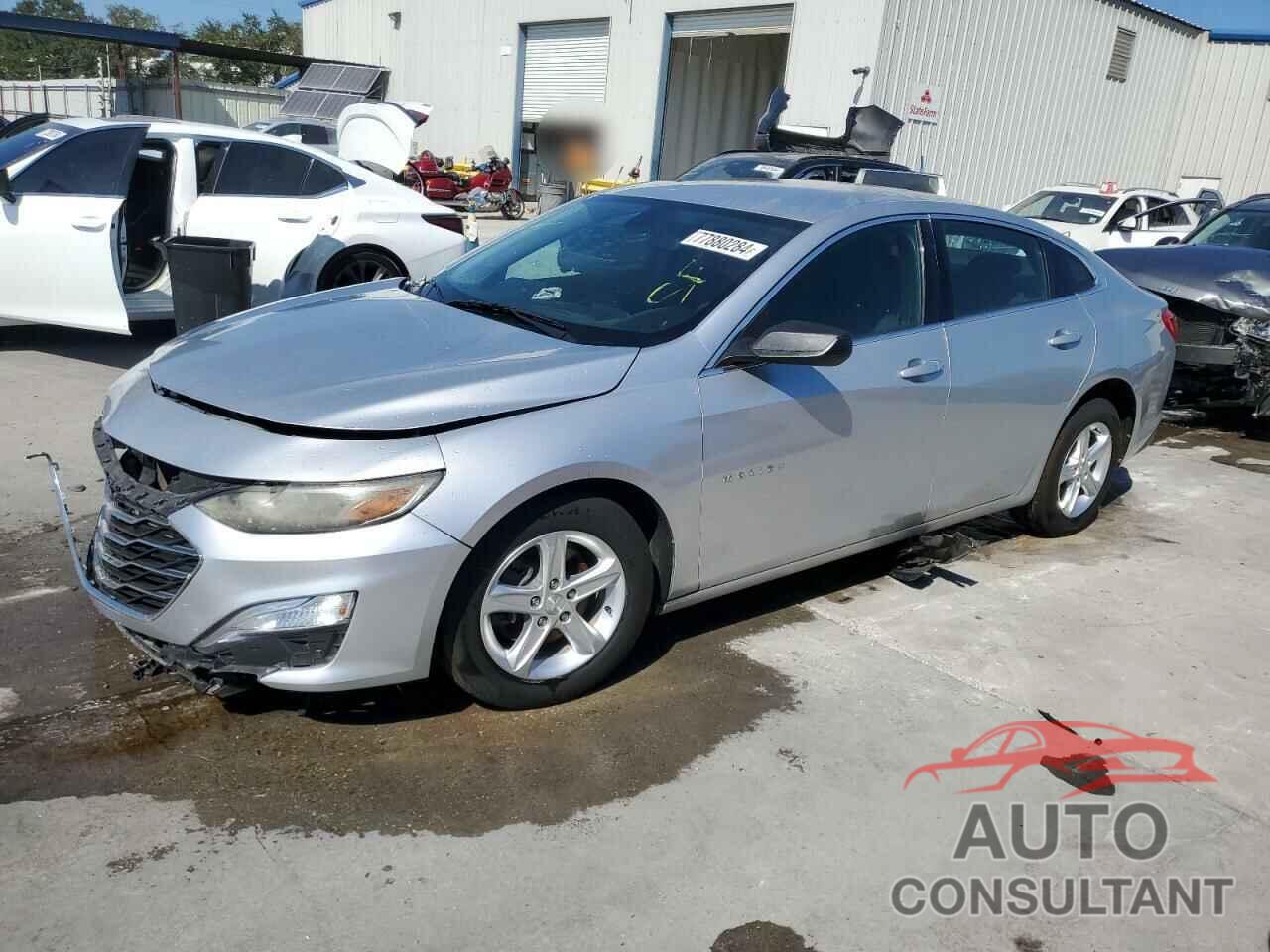 CHEVROLET MALIBU 2019 - 1G1ZB5ST2KF203762