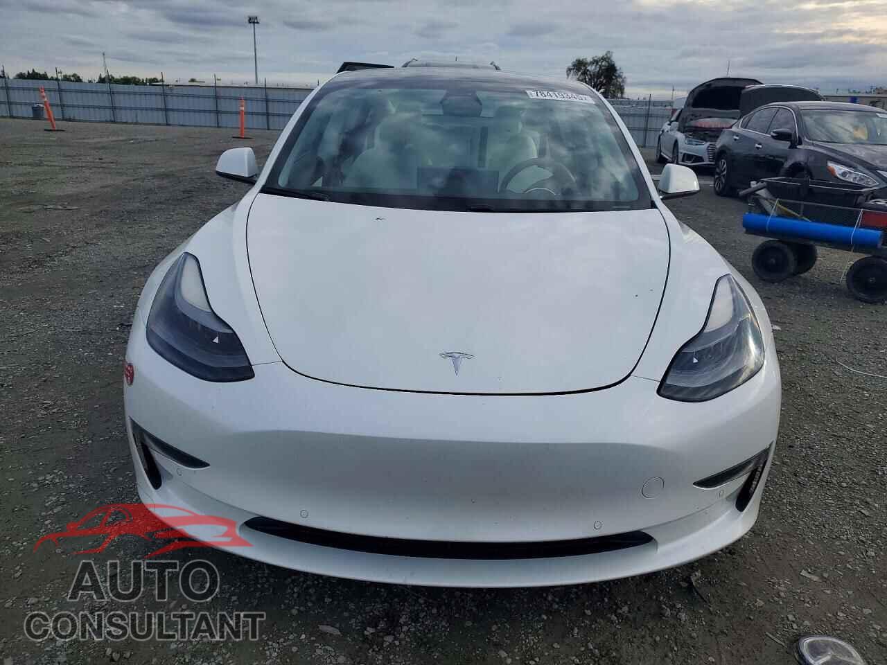 TESLA MODEL 3 2021 - 5YJ3E1EB8MF876160