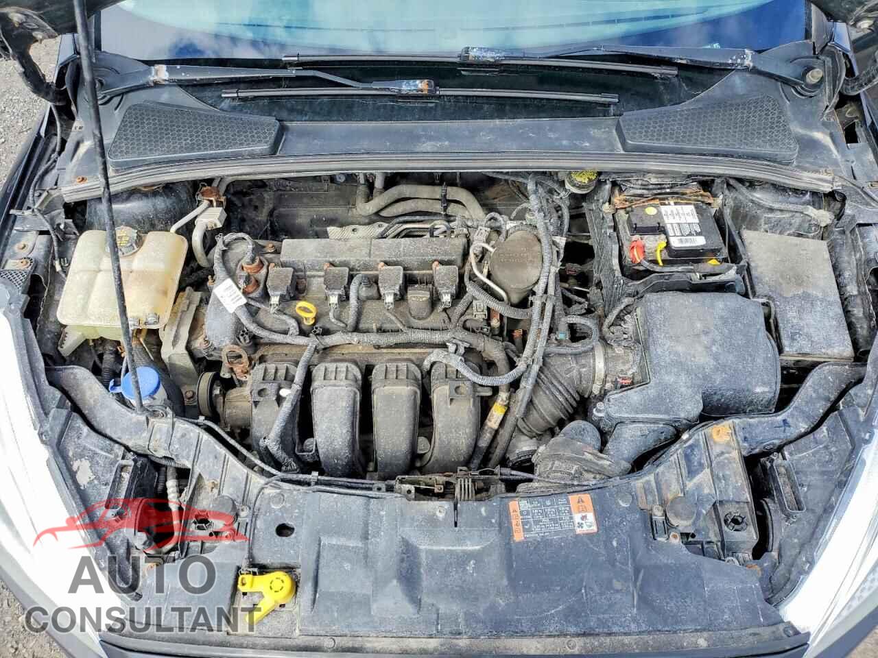 FORD FOCUS 2015 - 1FADP3F29FL296883