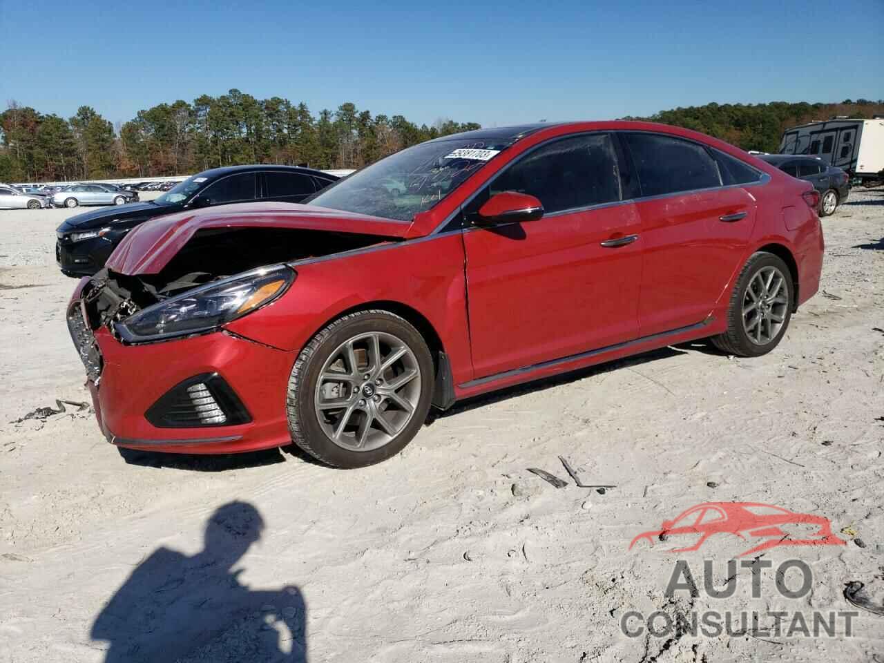 HYUNDAI SONATA 2019 - 5NPE34AB8KH809322