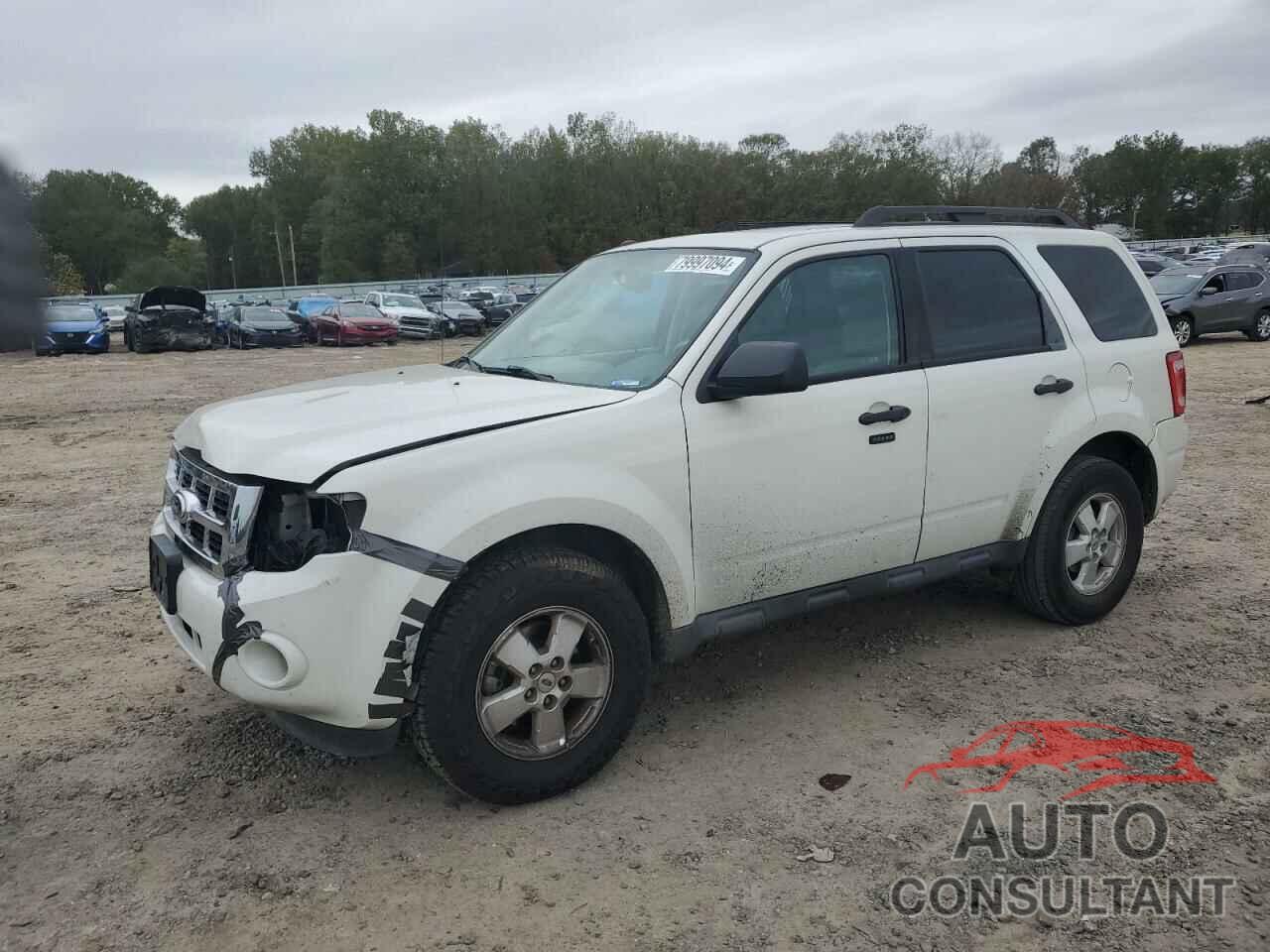 FORD ESCAPE 2010 - 1FMCU0D76AKD06047