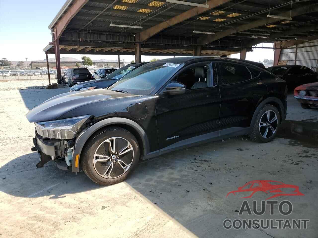 FORD MUSTANG 2021 - 3FMTK1SS1MMA43644