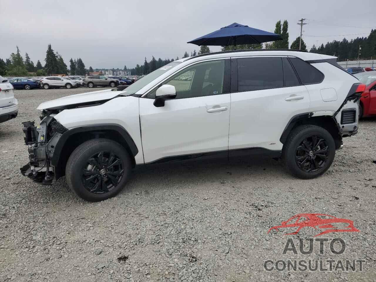 TOYOTA RAV4 2024 - JTM16RFV0RJ043285